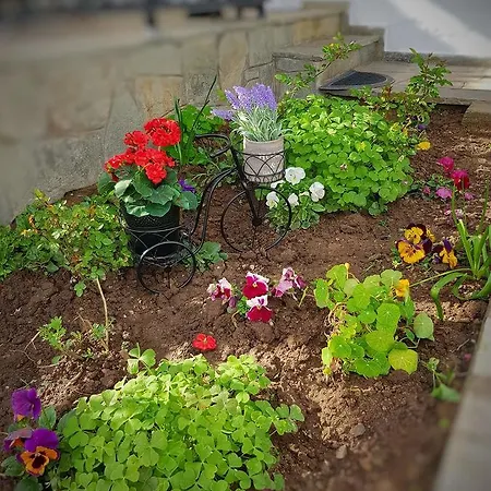 Stavrini's House بيت للعطل